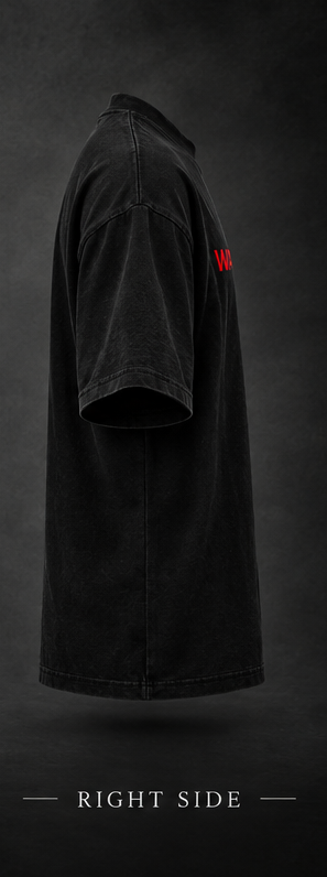 WAYBORN SCARFACE Oversized Tee